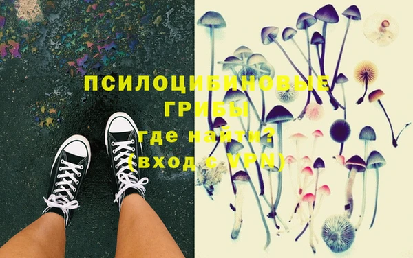 PSILOCYBIN Верхний Тагил